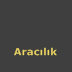 Aracılık